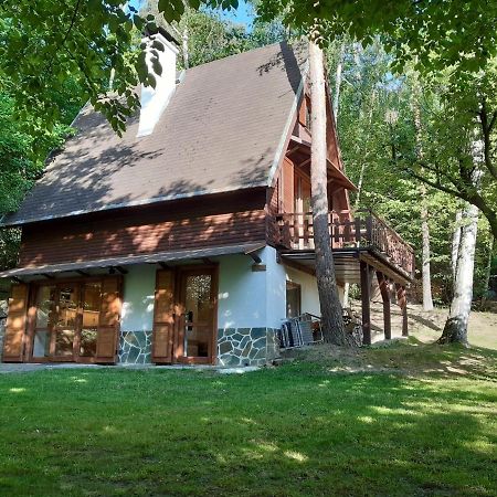 Holiday Home Zajicovi Rabyne 外观 照片