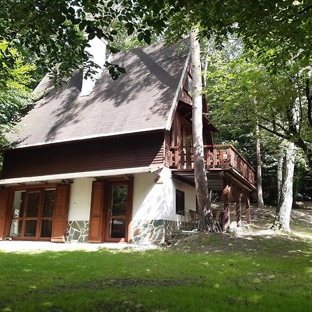 Holiday Home Zajicovi Rabyne 外观 照片