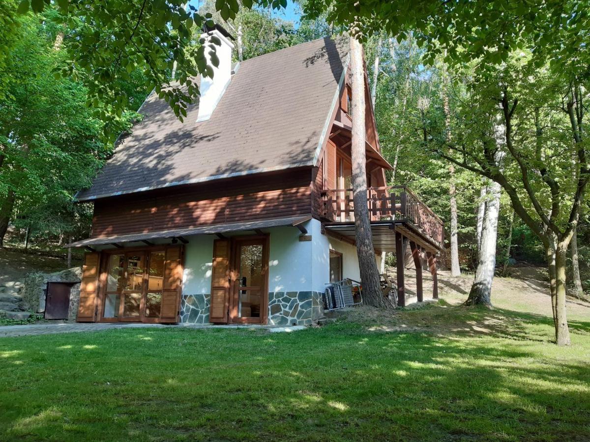 Holiday Home Zajicovi Rabyne 外观 照片